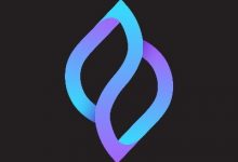 Seedify空投2000000美元的SFUND代币池-coinowo