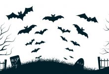 Vampire Token空投价值30个VAMP代币(约2.10美元)-coinowo