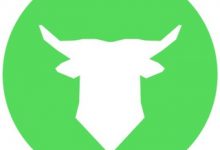 SafeBull正在向与他们的Telegram机器人聊天并完成简单社交任务的参与者空投30万个SAFEBULL-coinowo