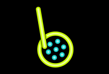 Boba Network将向OMG持有人空投他们的治理代币