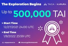 Polkadot合成资产协议Tapio将向早期社区支持者空投治理代币TAI-coinowo