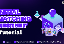 Degis的Initial Matching Public Testnet 将进行NFT抽奖空投-coinowo