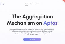 Aptos的聚合层hippo测试网教程-coinowo