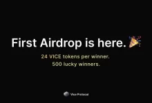 Vice 协议测试网空投教程(截止12.12)-coinowo