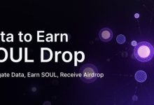 Binance投资的游戏身份项目Carv赚SOUL换空投-coinowo