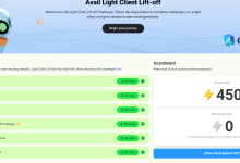 Avail 的 Light Client Lift-Off 挑战搭建轻节点教程(非常简单)-coinowo